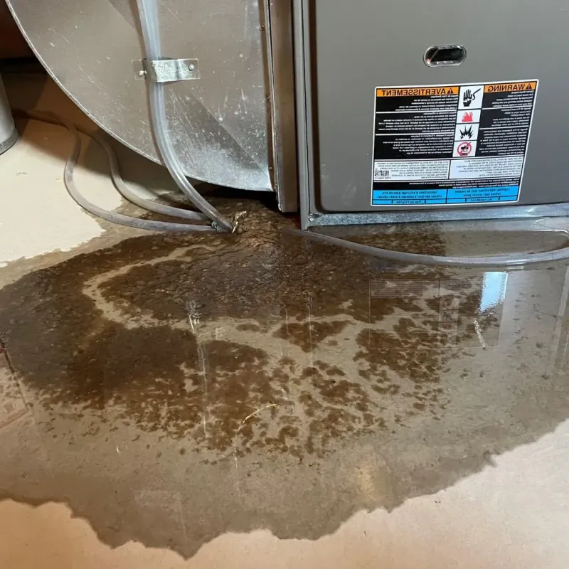 Pipe Burst and Leak Restoration in East McKeesport, PA