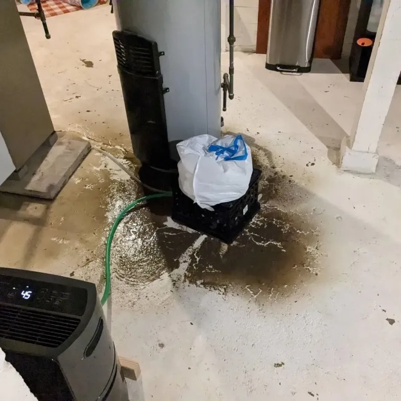 Sewage Backup Cleanup Service in East McKeesport, PA